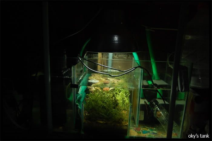 sump.jpg