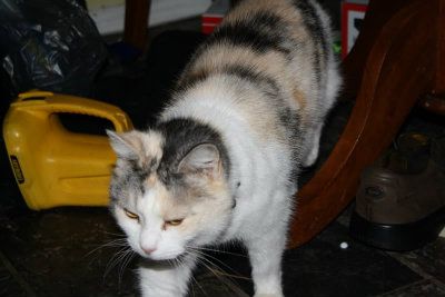 IMG_0046.jpg