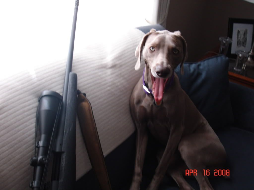 http://i98.photobucket.com/albums/l262/j33nelson/gun/DSC05049.jpg
