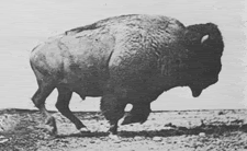 gif photo m2sHarvest_85.gif