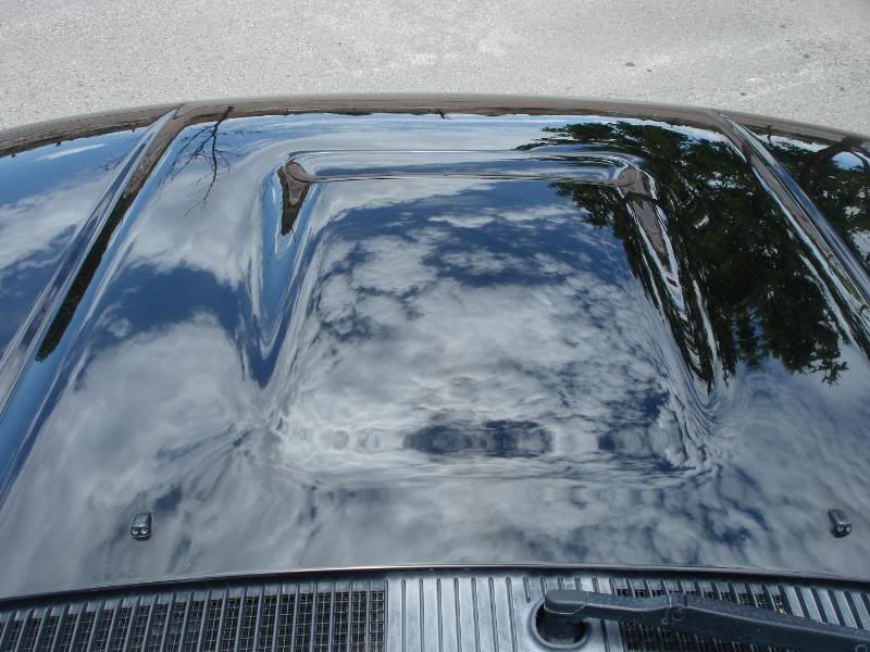 dustdetail023.jpg