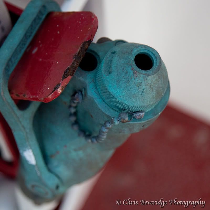 IMAGE: http://i98.photobucket.com/albums/l267/Silentnight08/24-105mm/IMG_0122.jpg