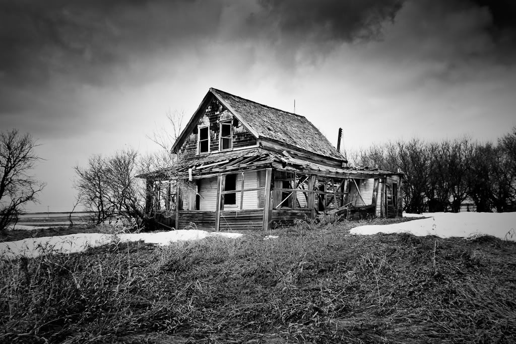 Photograph-4463.jpg