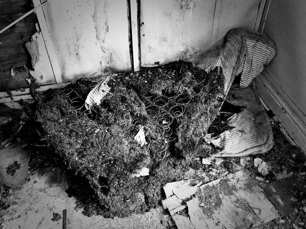 Photograph-4466.jpg