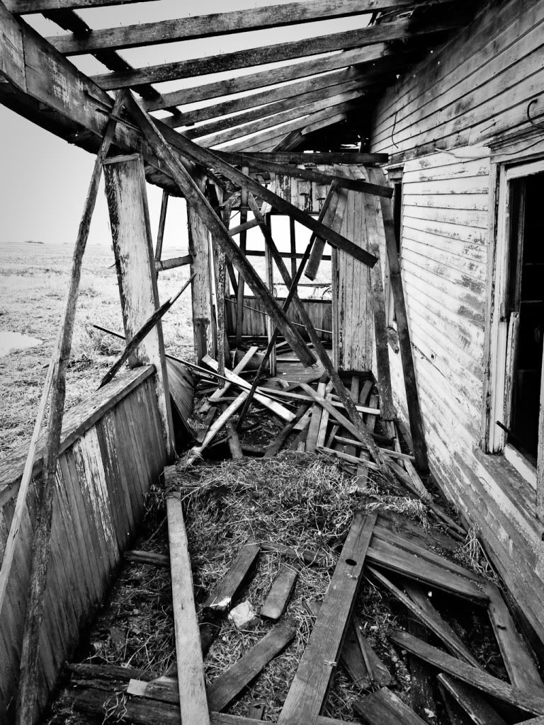Photograph-4467.jpg