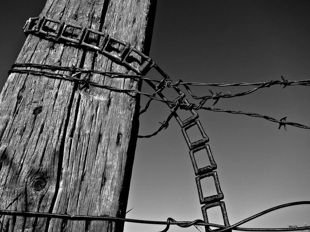 Photograph-4850.jpg