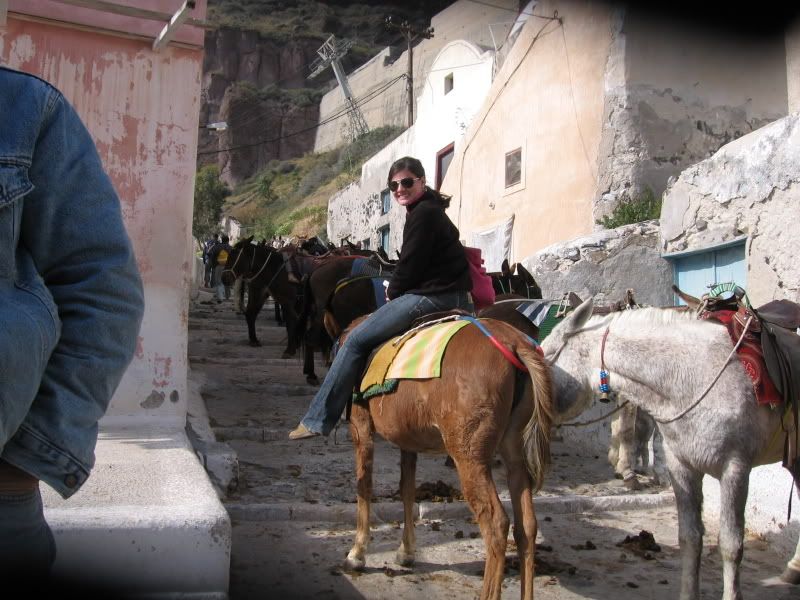 IMG_2261.jpg We took a donkey taxi up the 750 steps...I will have a picture of me on a donkey soon enough just for you mom, but for now here is Caroline image by ladylexy18