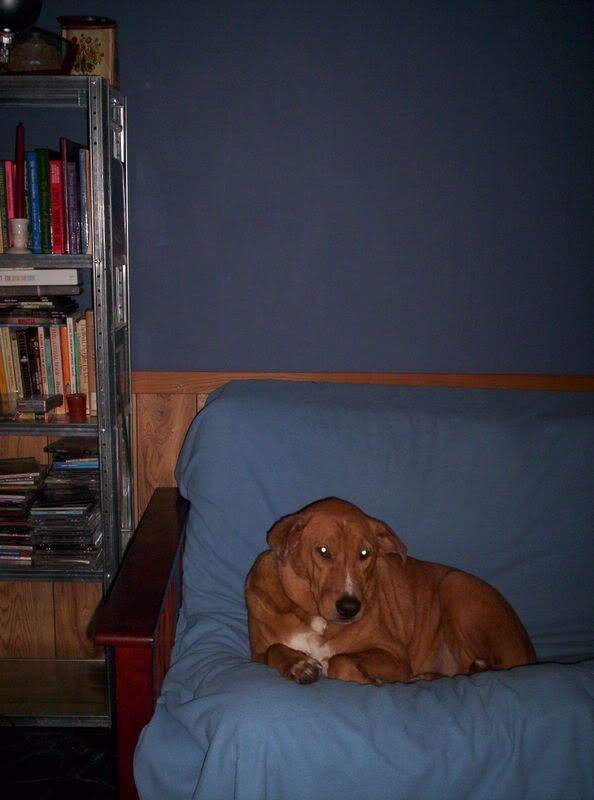 so who has totally worthless (to the homestead) pets? - Homesteading Questions