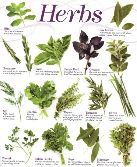 make money selling herbal supplements