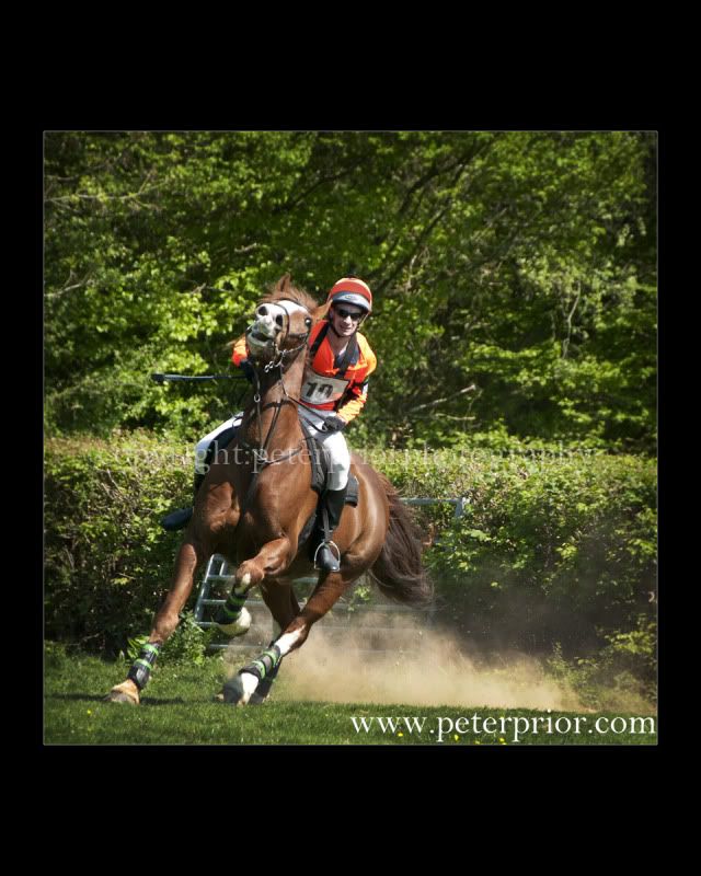 Peter Prior Photography,Art Visage,Award Winning Images,Master Photographer's Association,Equestrian Photography