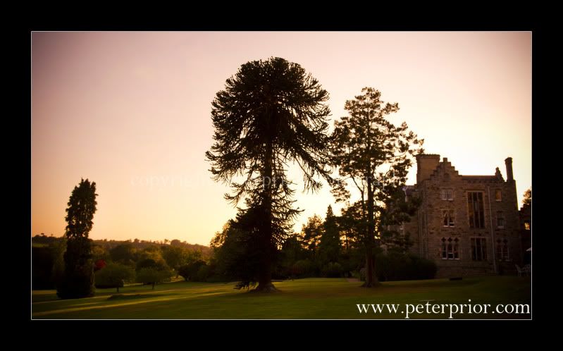 Peter Prior Photography,Art Visage,Ashdown Park Hotel Weddings,Documentary Wedding Photography,Natural Wedding Photography,Ashdown Park Hotel Wedding Photography