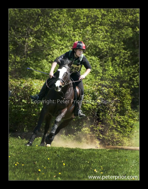 Peter Prior Photography,Equestrian Photography,Horse Photography,Eventing Photography in Sussex,Art Visage,Sussex Equestrian Photography