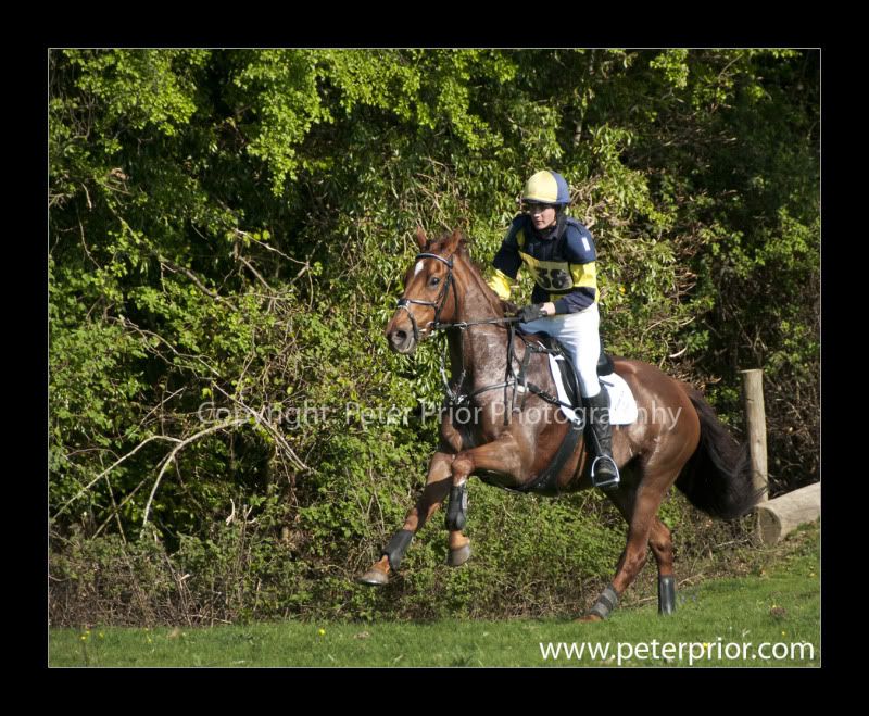 Peter Prior Photography,Equestrian Photography,Horse Photography,Eventing Photography in Sussex,Art Visage,Sussex Equestrian Photography