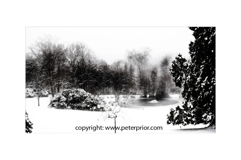 Peter Prior Photography; Art Visage,Nikon D3s
