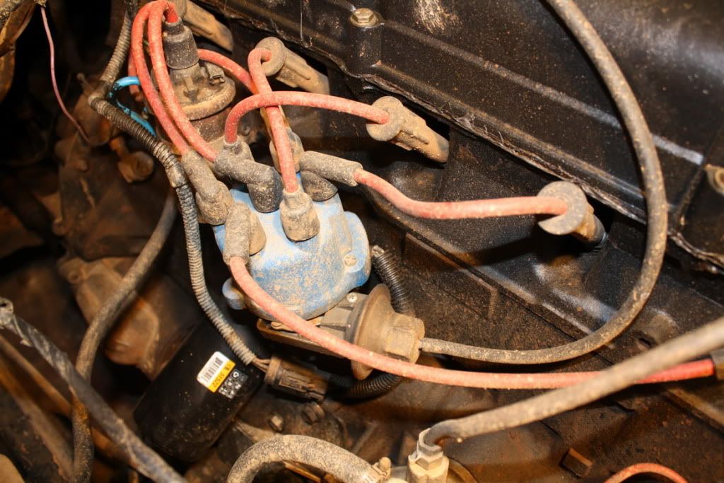 258 correct distributor position