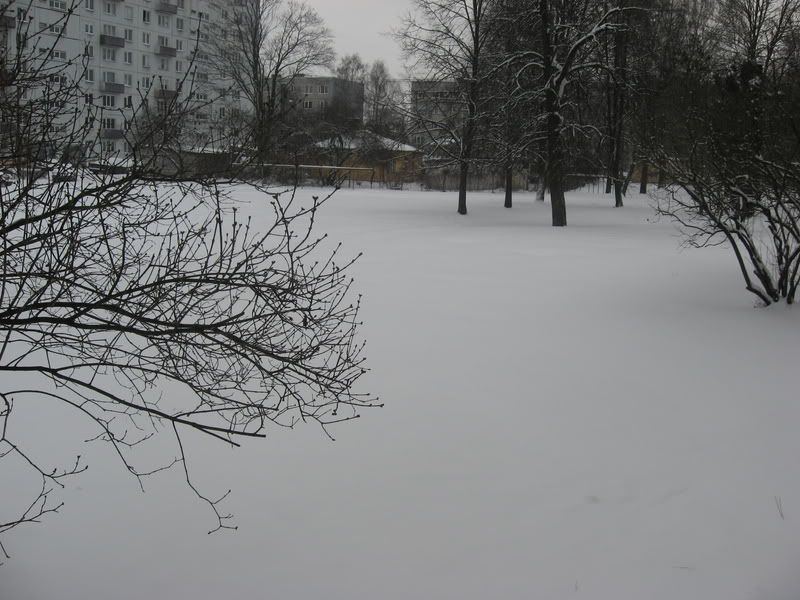 [Image: IMG_0616.jpg]