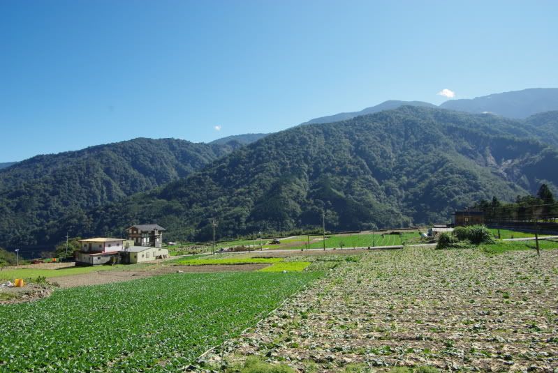 K200D 的福壽山 2011 11 05 06
