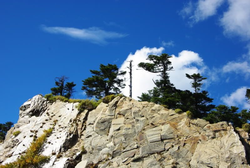 K200D 的福壽山 2011 11 05 06