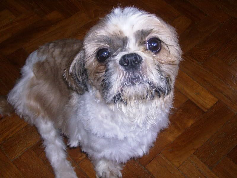 Photo Sharing and Video Hosting at Photobucket