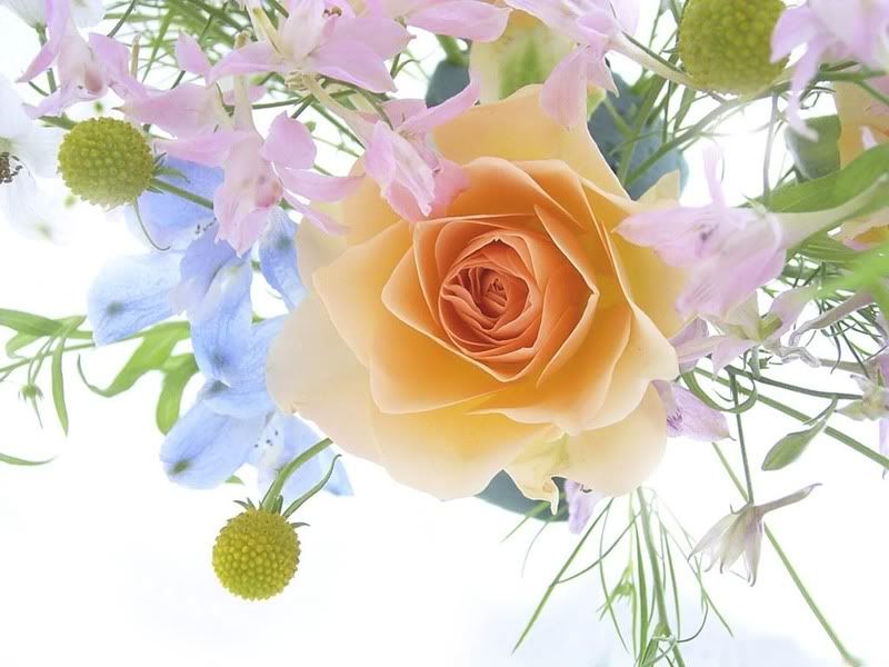 Flowers_-_a_spring_bouquet_with_a_r.jpg bouquet with rose image by Pundsey