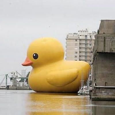 big rubber duck photo: big rubber duck 2 rubber-duck.jpg