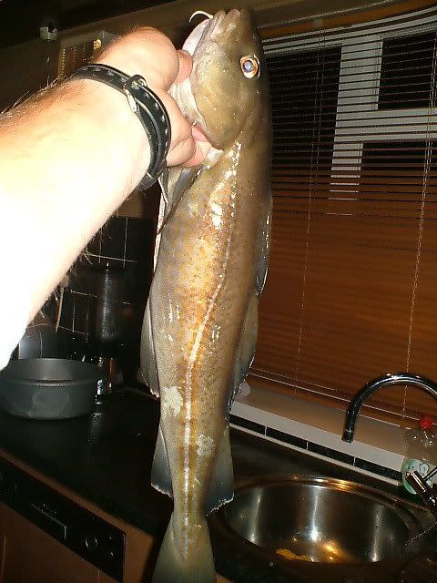 tynemouthfish003.jpg