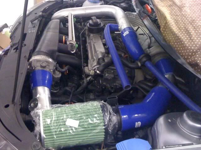 polo-build-5.jpg