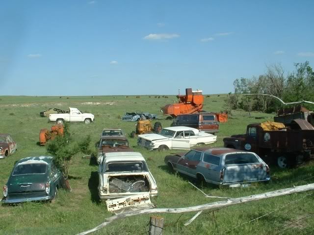 third party image