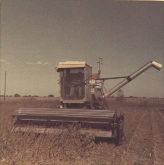 third party image