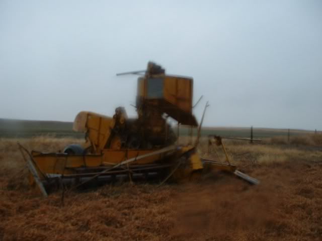 third party image