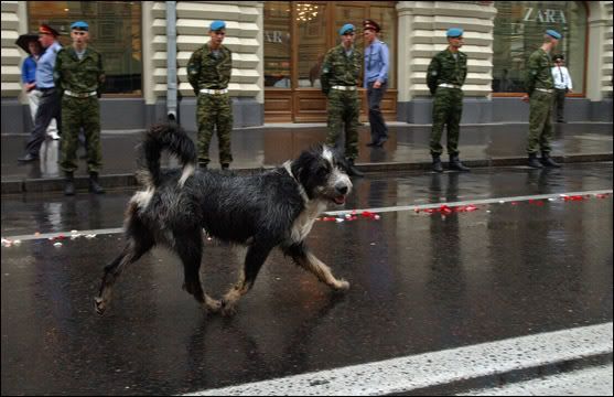 Photo Sharing and Video Hosting at Photobucket