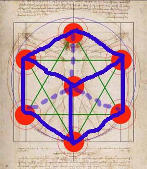 Числа и руны - Страница 2 Sgvitruvian3