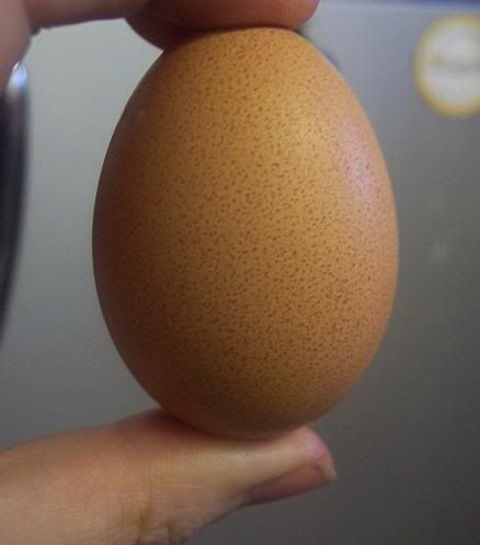 Gretasfirstegg07.jpg