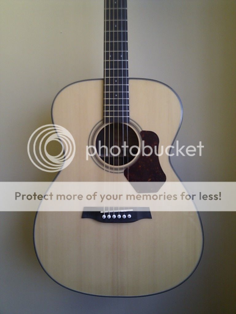 walden concorda series co500 acoustic guitar