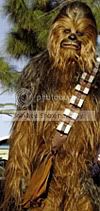 chewbacca-bag.jpg