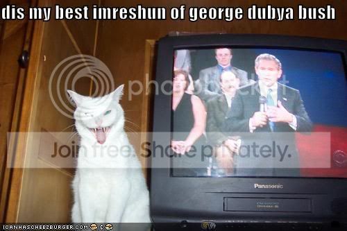 funny-pictures-cat-george-bush-impr.jpg