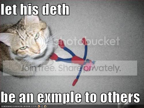 funny-pictures-cat-has-murdered-a-t.jpg