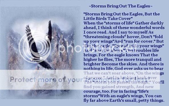 Storms Bring Out The Eagles ~ Poem Photo by hhhhhh_014 | Photobucket