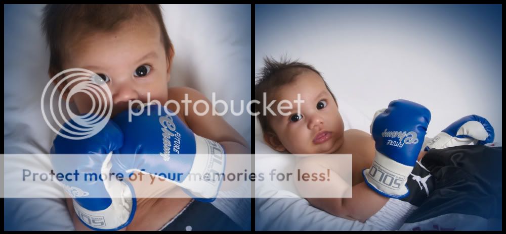 Wearable Baby Boxing Gloves Champion Infant boxing mittens Cleto Reyes 