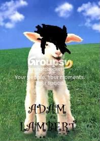 User Image