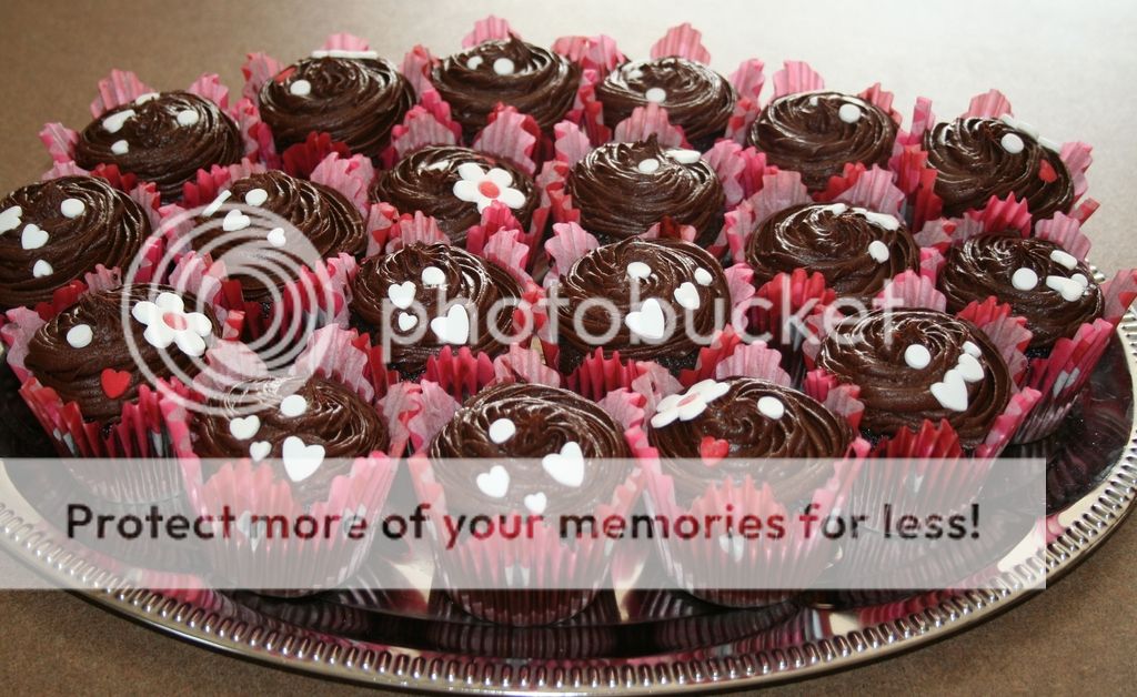  photo IMG_8474_zpsv1zwlf8e.jpg