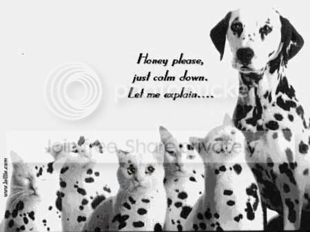 Dalmations.jpg