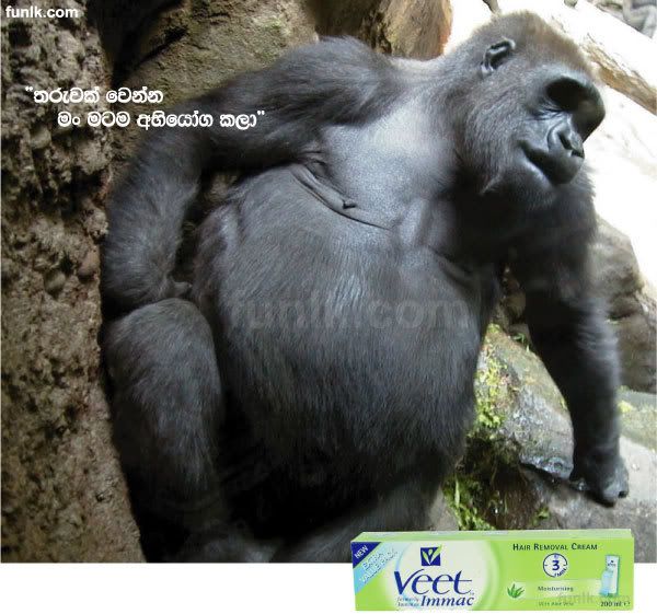 veet.jpg