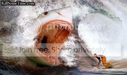 SharkAttack.jpg