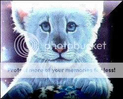 Photobucket - Video and Image Hosting